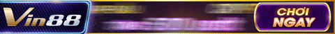 top banner